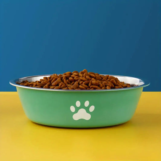 Stainless Steel Dog Bowl  Green 14cm